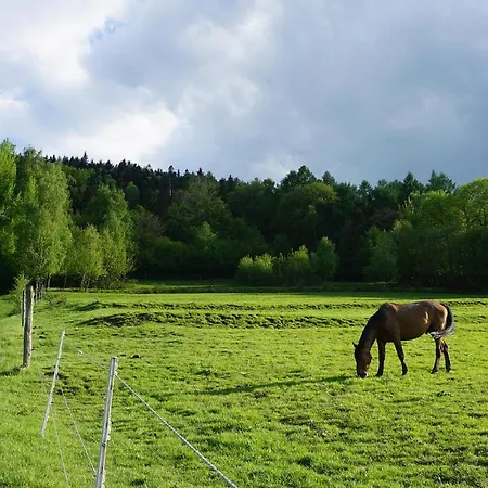 Kosarzowka Bílsko-Bělá