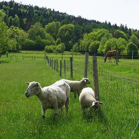 Casa de Férias Kosarzówka Bielsko-Biala