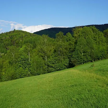 Prázdninový dům Kosarzowka