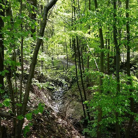 Kosarzówka Casa de Férias Bielsko-Biala