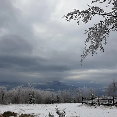 Kosarzowka Holiday home *