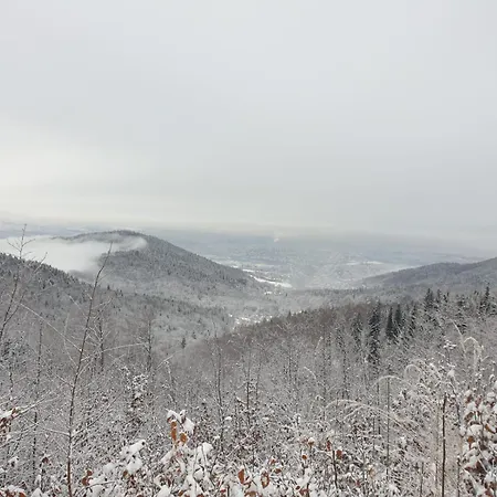 Kosarzowka *