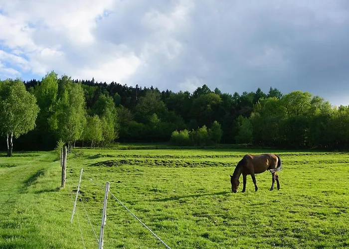 Kosarzowka Bílsko-Bělá