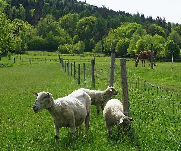 Prázdninový dům Kosarzowka Bílsko-Bělá