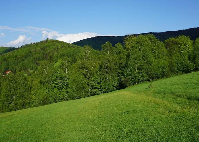 Tatil Evi Kosarzowka
