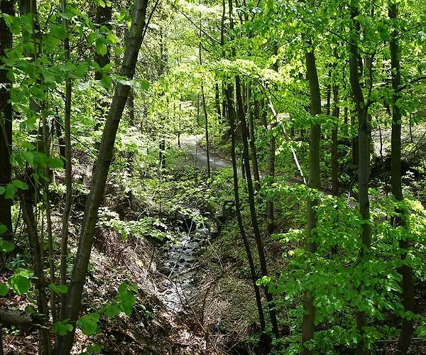 Kosarzowka Prázdninový dům Bílsko-Bělá