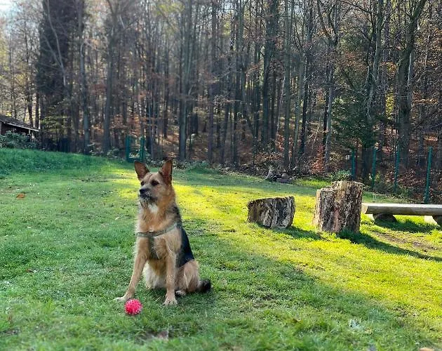 Tatil Evi Kosarzowka Bielsko-Biała
