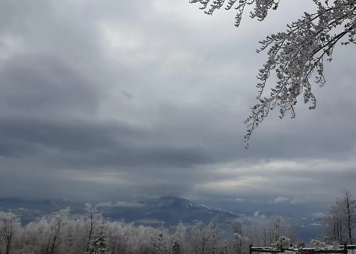 Kosarzowka Tatil Evi *